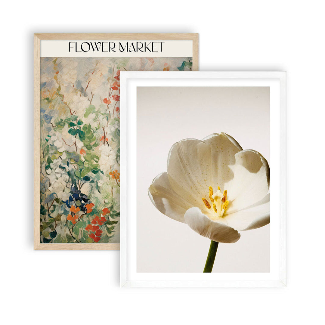 Cuadros de flores y plantas