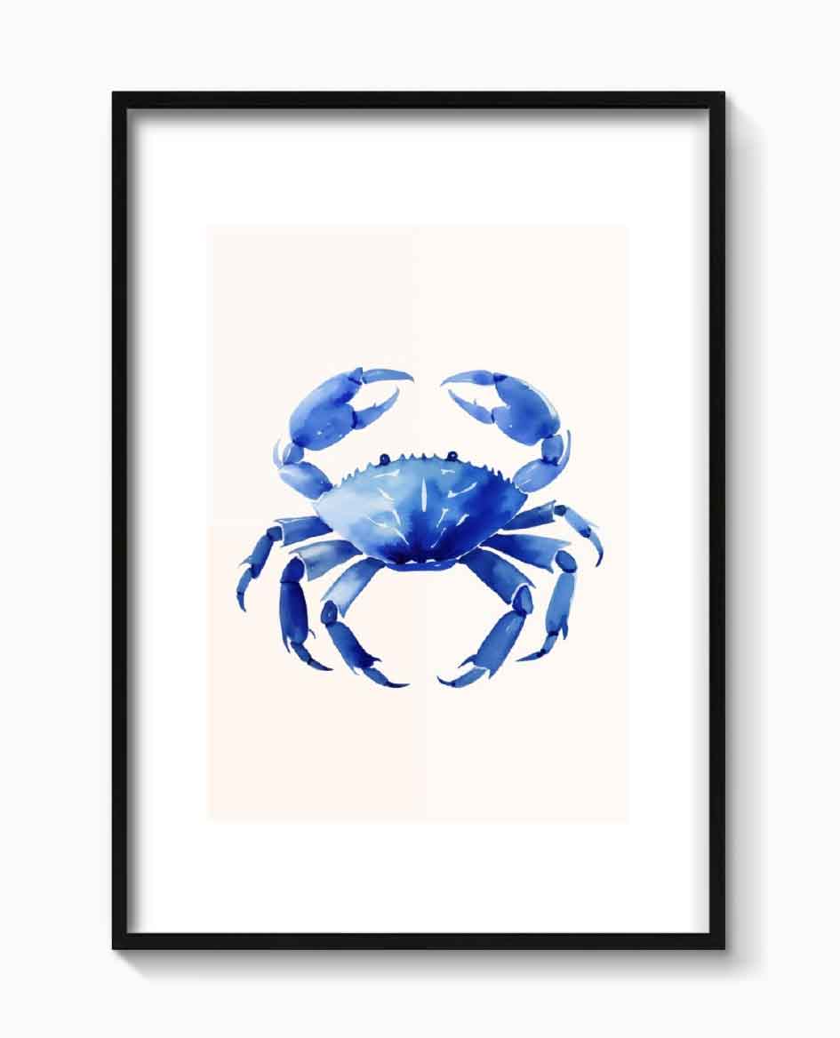 CANGREJO AZUL