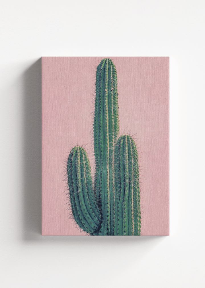 Pink Cactus CANVAS