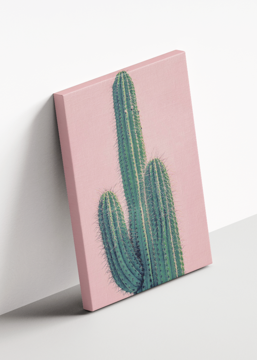 Pink Cactus CANVAS