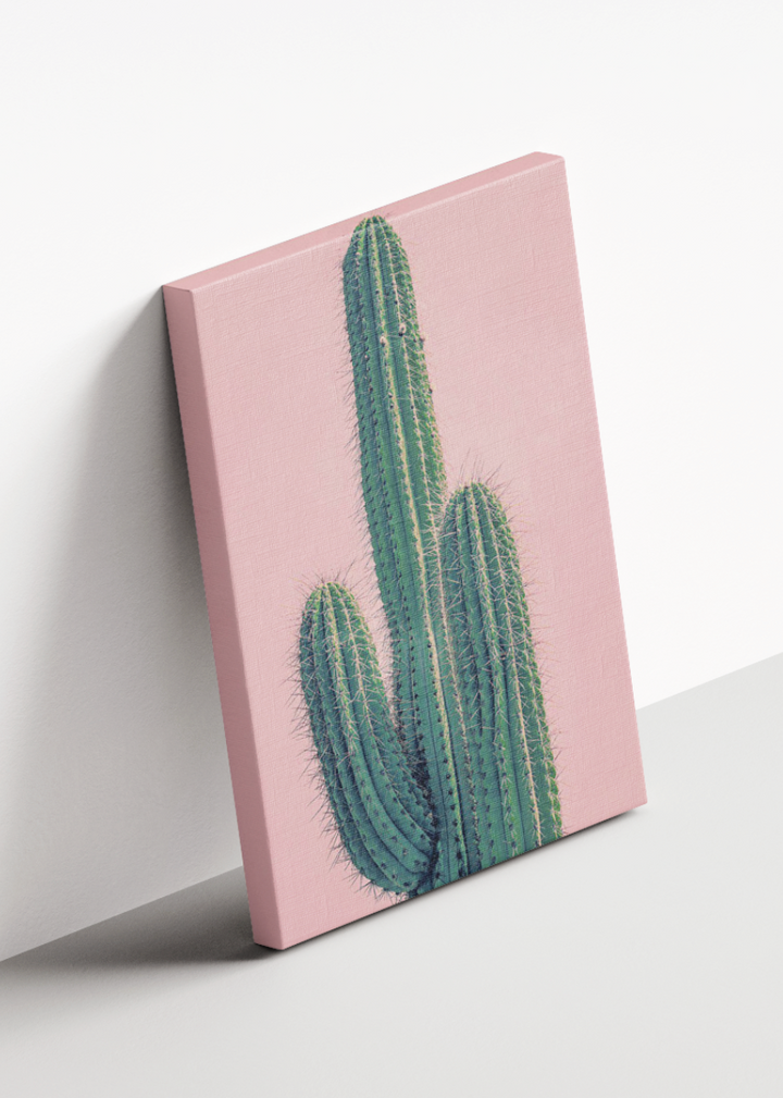 Pink Cactus CANVAS