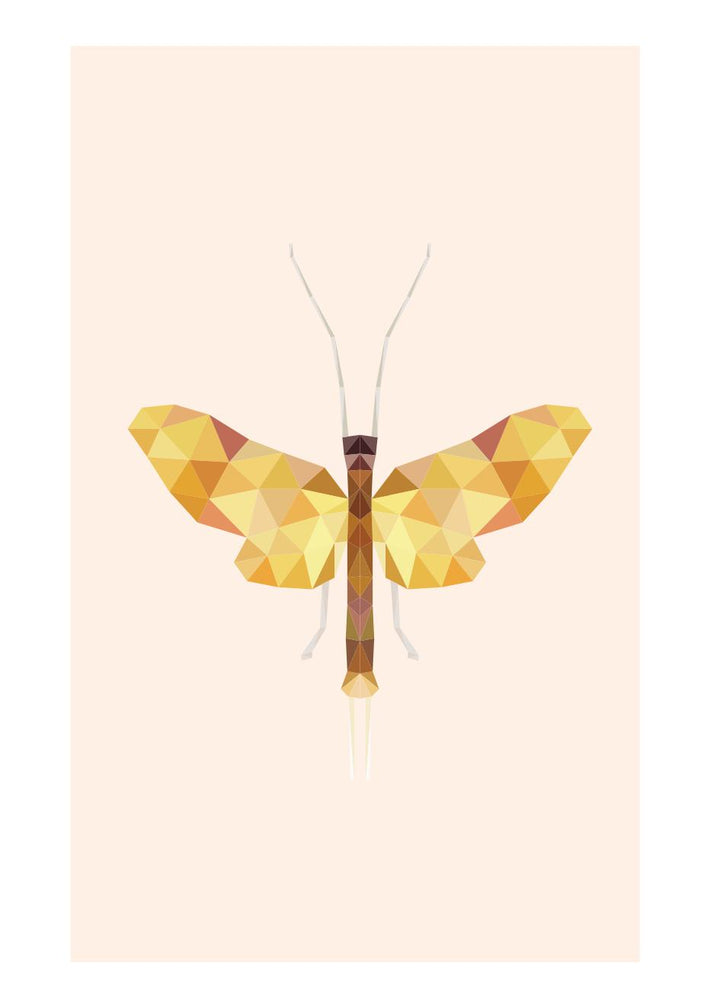 Cuadro-MARIPOSA-Studio Malek