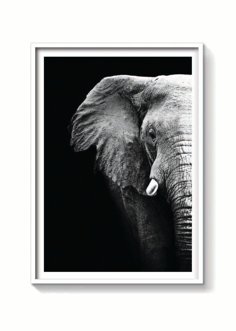ELEFANTE