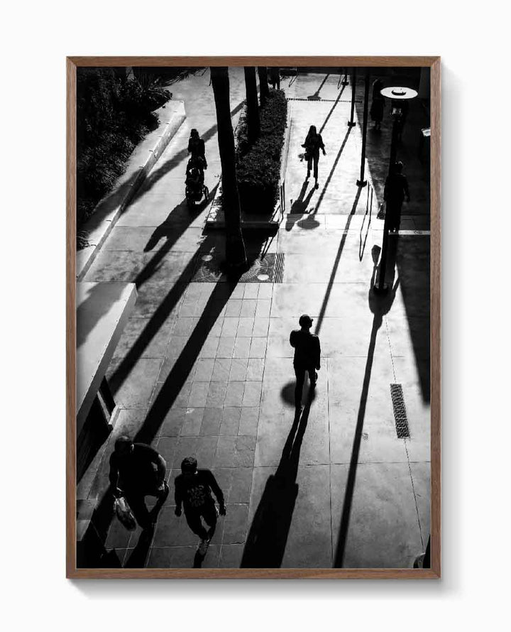 HOLLYWOOD SHADOWS