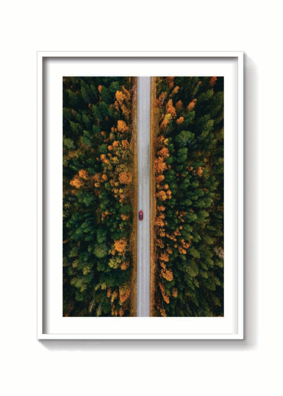 OTOÑO