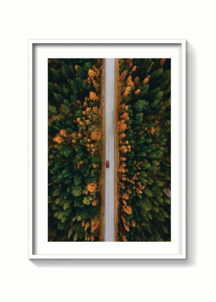 OTOÑO