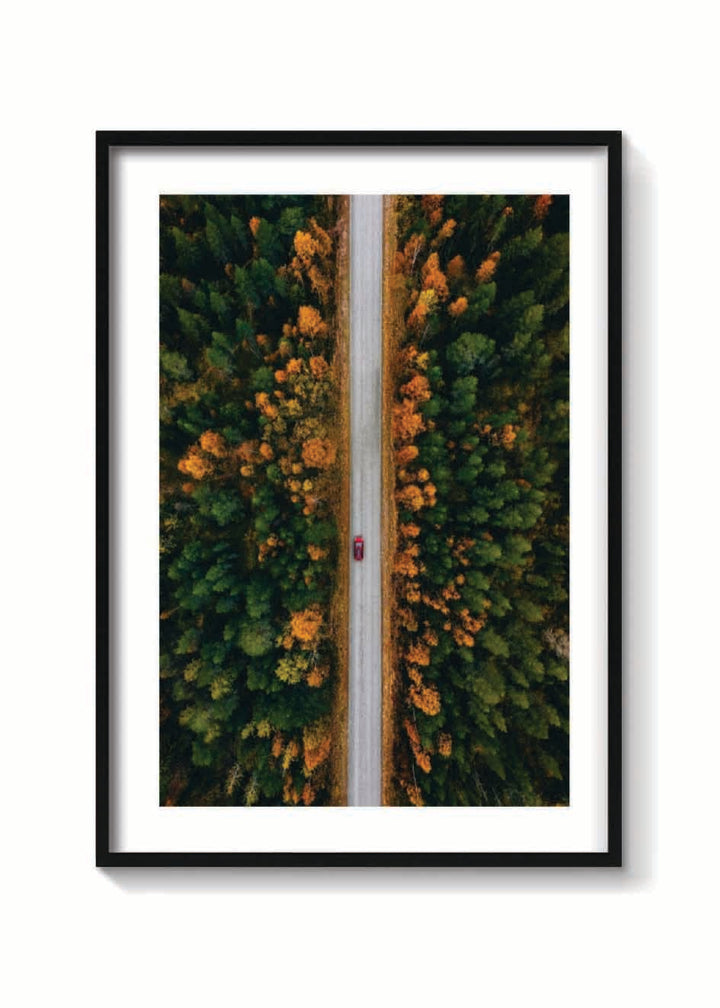 OTOÑO