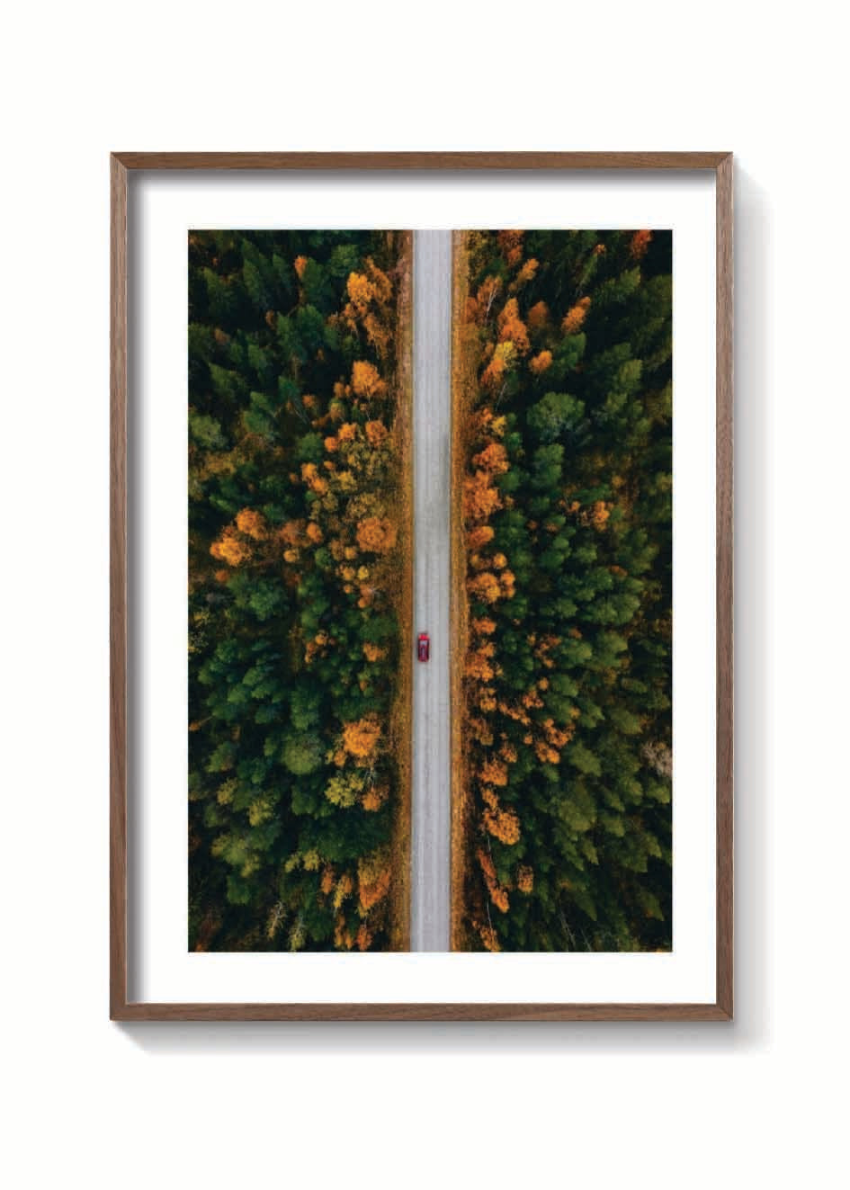 OTOÑO