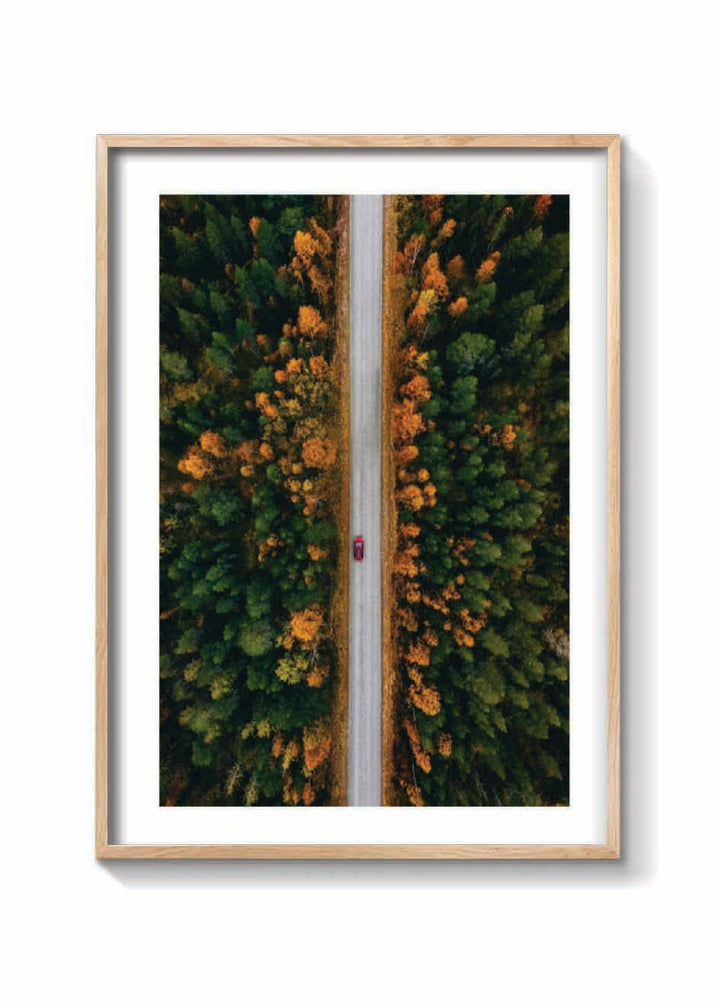OTOÑO