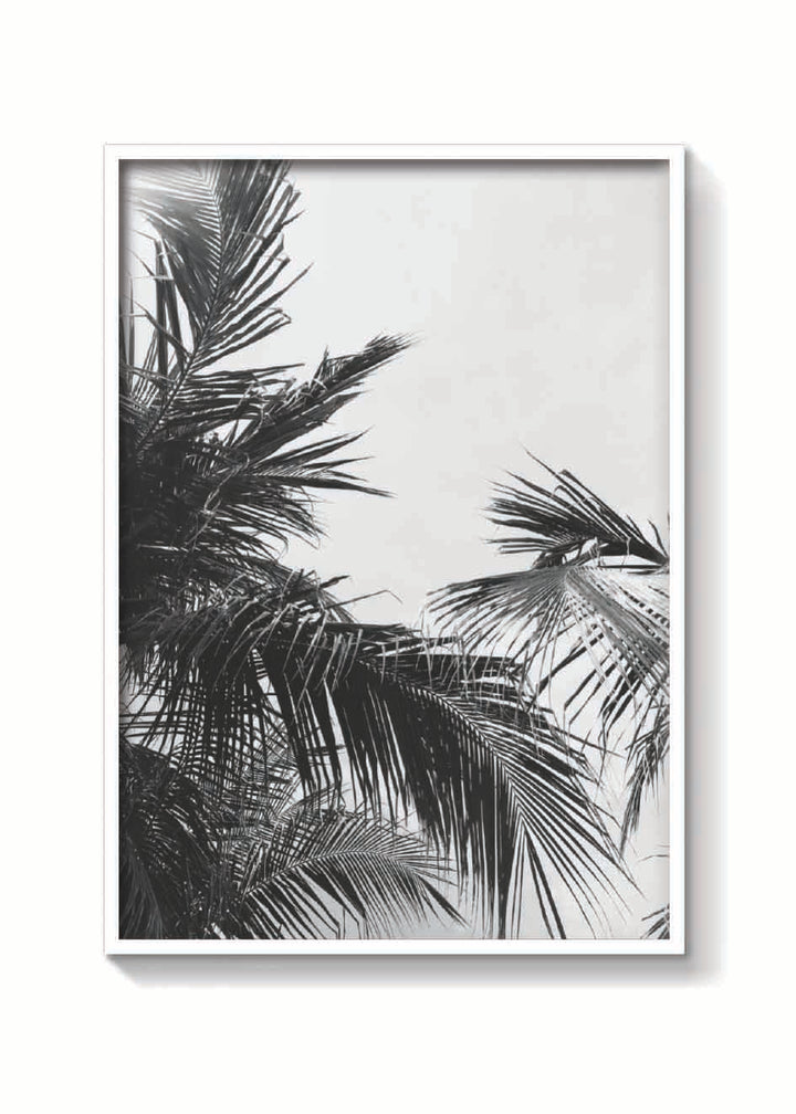 PALMS VINTAGE