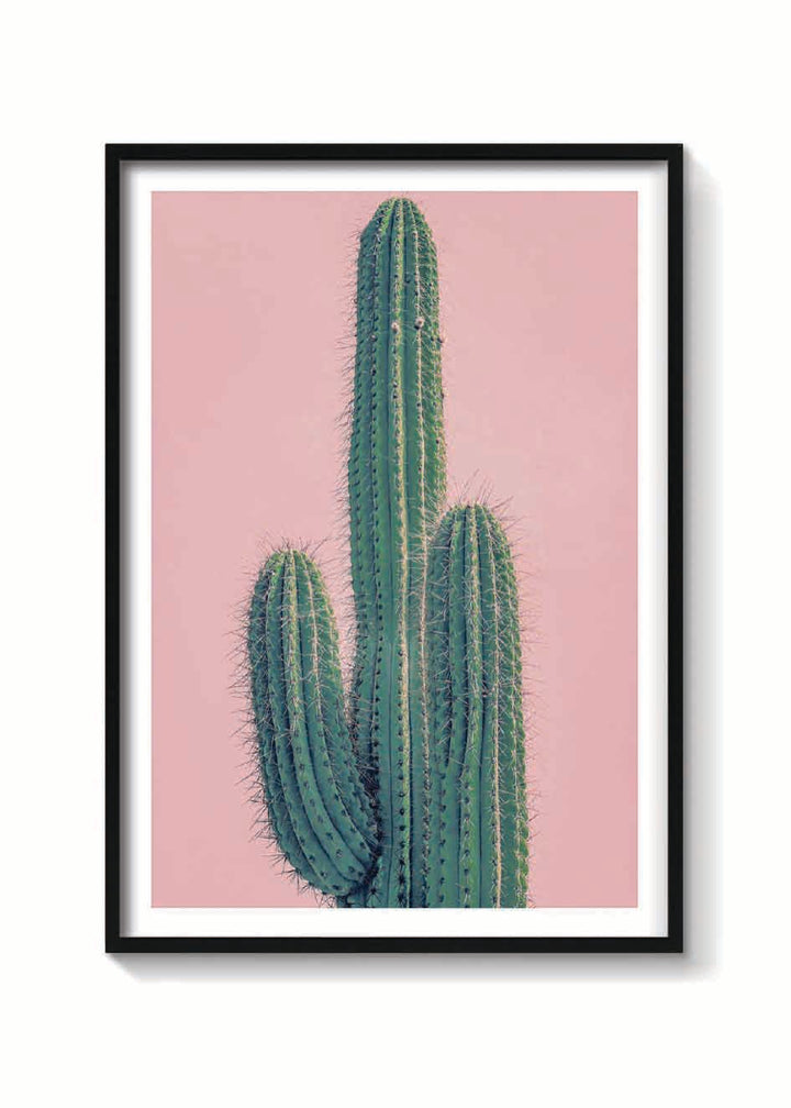 PINK CACTUS XXL