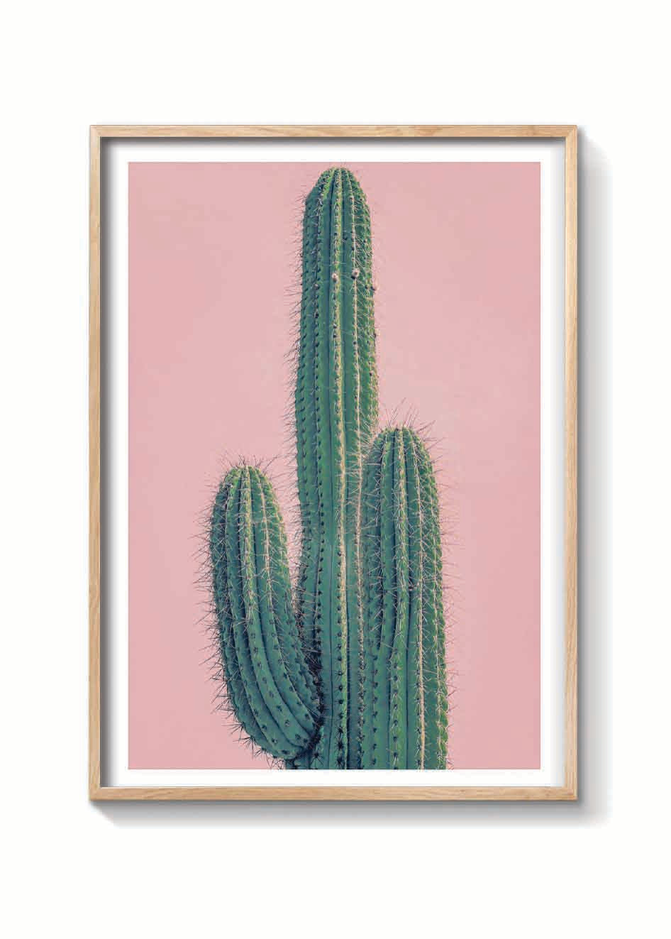 PINK CACTUS XXL
